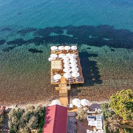 Assosa Hotel Ayvacik Dış mekan fotoğraf